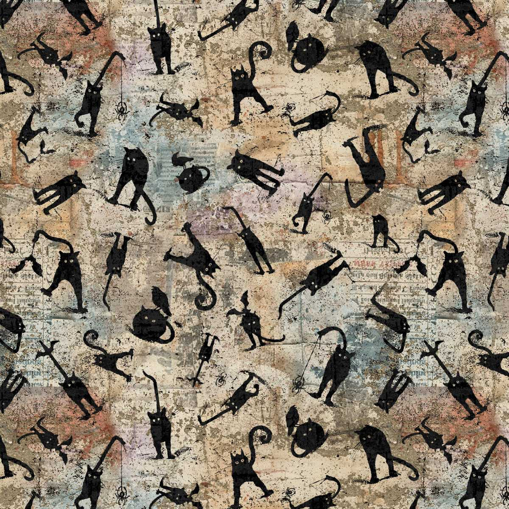 Scaredy Cats de Funny Girl pour Studio e