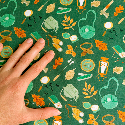 Camping Supplies de Rae Ritchie pour Dear Stella
