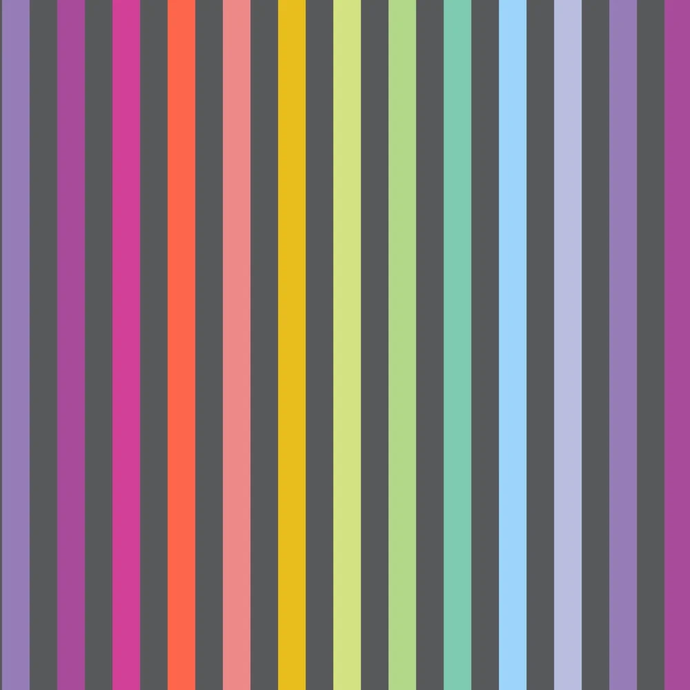 Disco Stripe en Carbon de Tula Pink pour Free Spirit