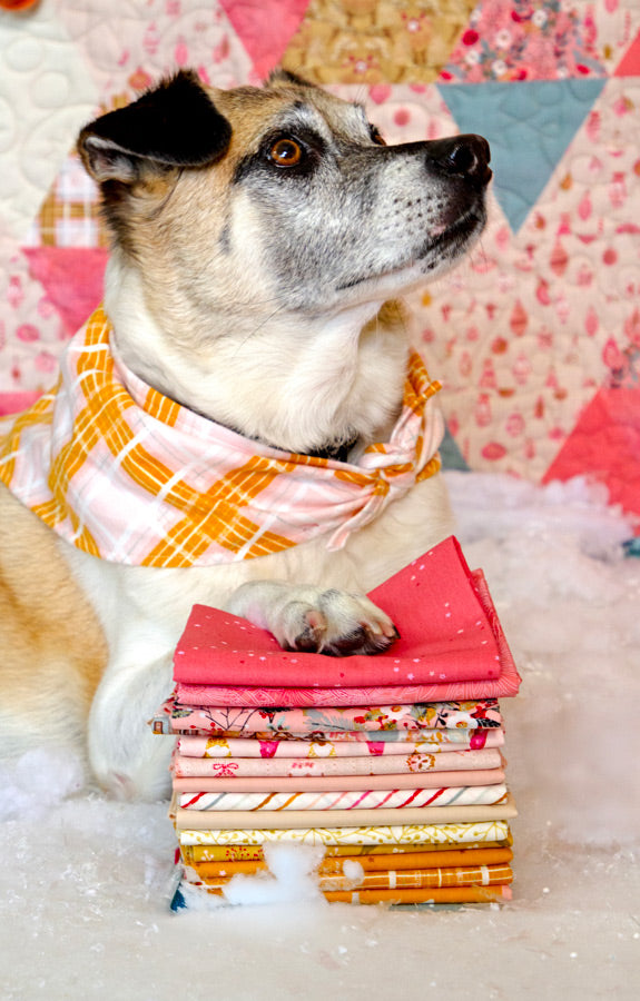 Jingle Plaid, flanelle 100% coton AGF