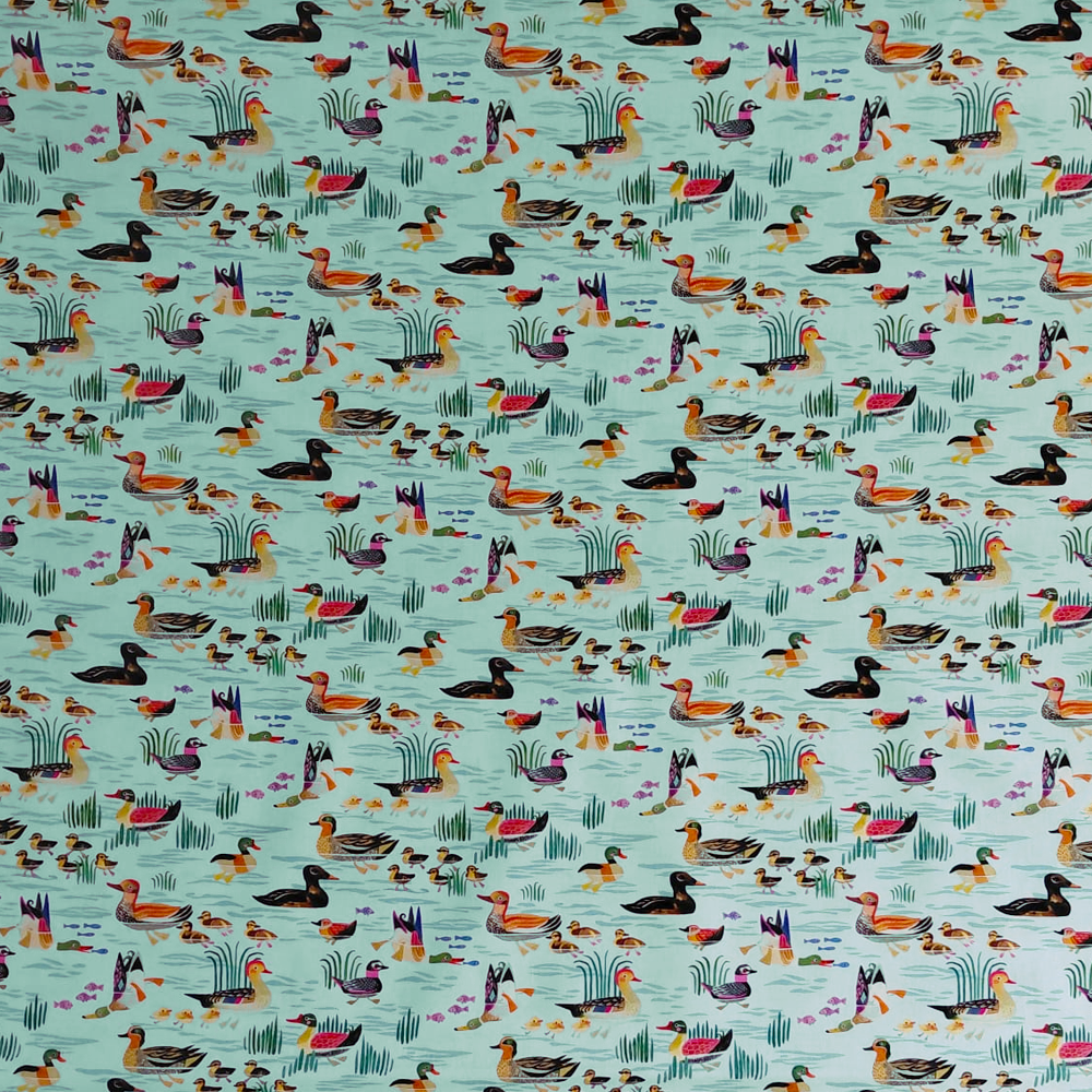 Get your ducks in a row de Miriam Bos pour Dear Stella