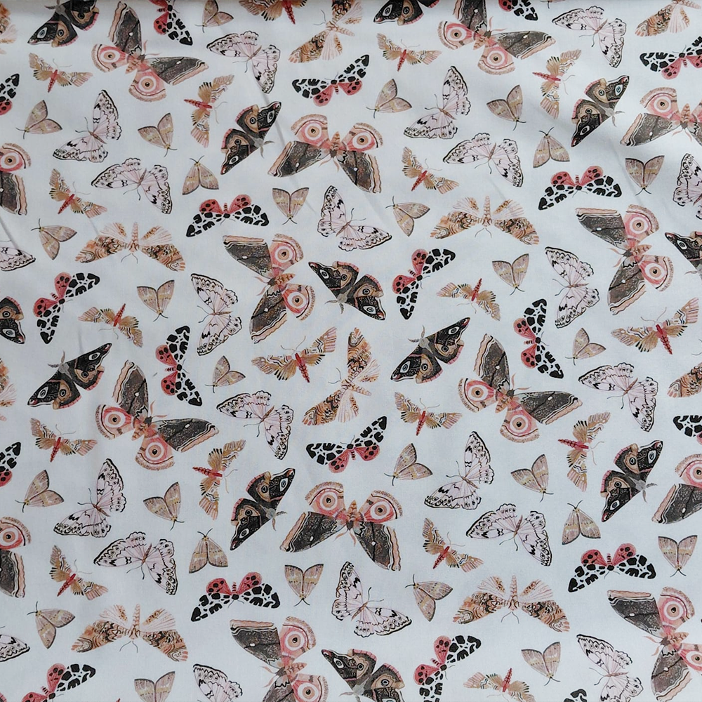 Moths de Rae Ritchie pour Dear Stella