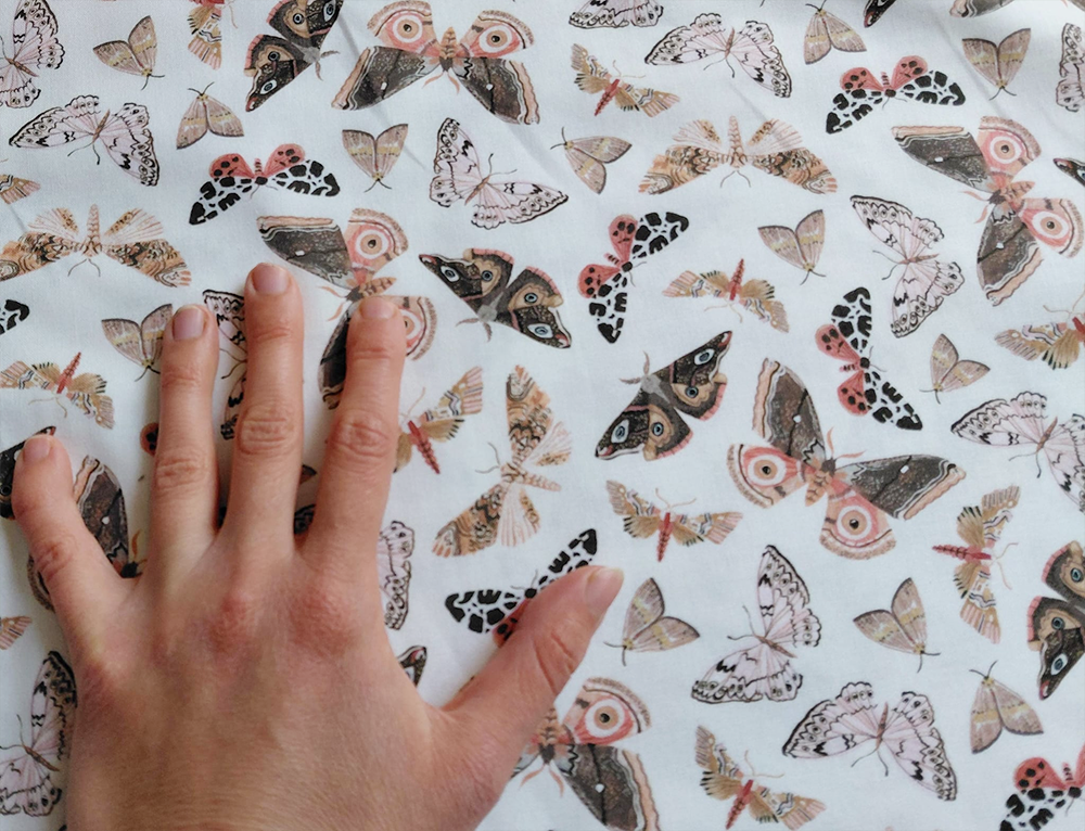 Moths de Rae Ritchie pour Dear Stella