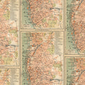 Orange Map de Tim Holtz pour FreeSpirit Fabrics