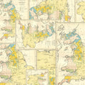 Yellow Map de Tim Holtz pour FreeSpirit Fabrics