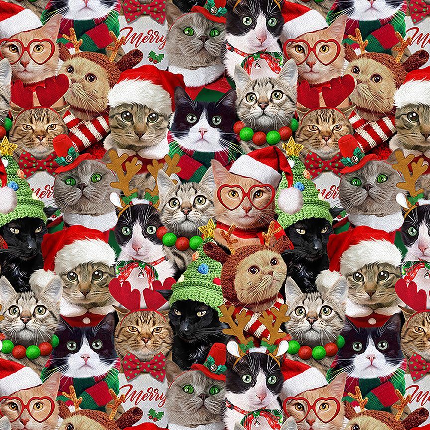 Packed Holidays Cats de Timeless Treasures