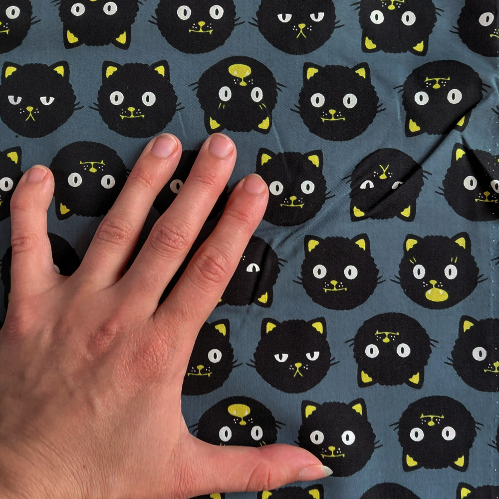Scaredy Cats en Ghostly de Sarah Watts pour Ruby Star Society