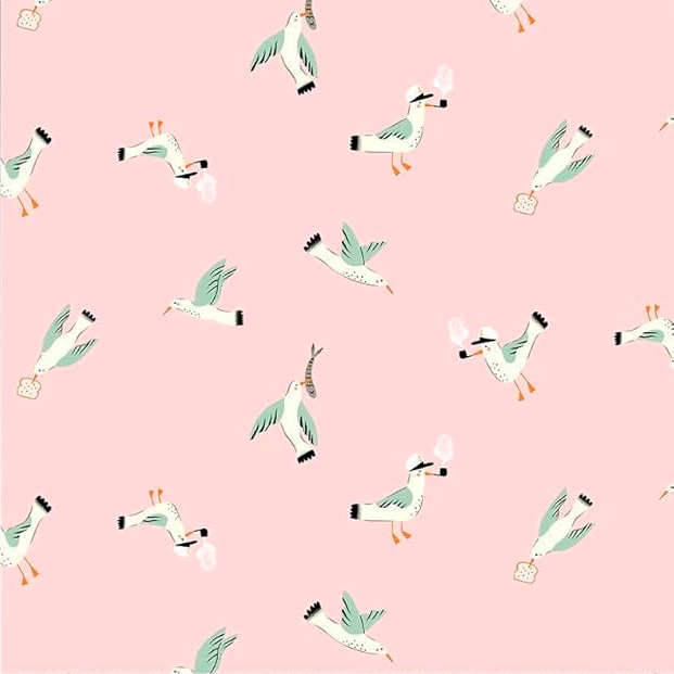 Seagulls de Faye Guanipa pour Dear Stella
